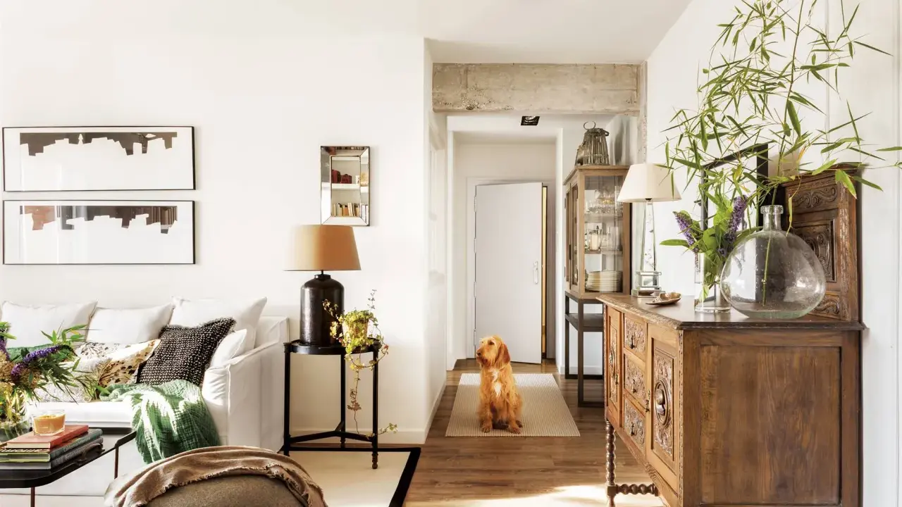 Perro espera en el pasillo que conecta la entrada, salón y recibidor. Mueble antiguo y plantas decoran el espacio.