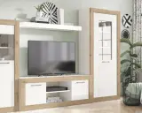 Un moderno salón sin luz natural, con un mueble de TV blanco y madera, una planta y un sofá gris.