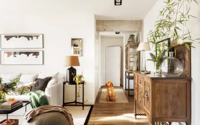 Perro espera en el pasillo que conecta la entrada, salón y recibidor. Mueble antiguo y plantas decoran el espacio.