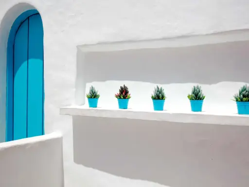 Fachada blanca con puerta azul brillante y cinco macetas con plantas. La textura de la pared sugiere que se usó pintar con cal.