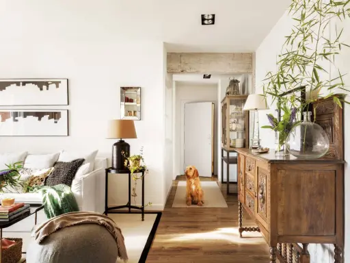 Perro espera en el pasillo que conecta la entrada, salón y recibidor. Mueble antiguo y plantas decoran el espacio.
