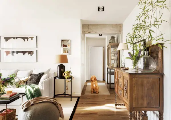 Perro espera en el pasillo que conecta la entrada, salón y recibidor. Mueble antiguo y plantas decoran el espacio.