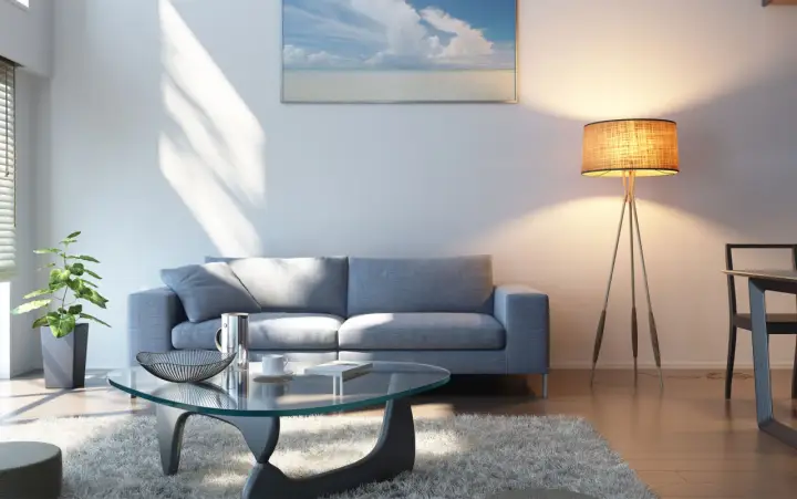 Sofá gris oscuro, mesa de cristal, alfombra mullida y lámpara de pie. Un espacio acogedor para relajarse.
